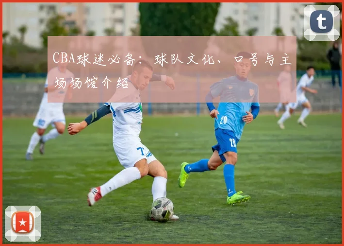 CBA球迷必备:球队文化、口号与主场场馆介绍