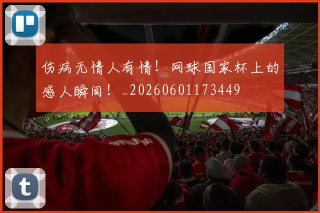 伤病无情人有情！网球国家杯上的感人瞬间！_20260601173449